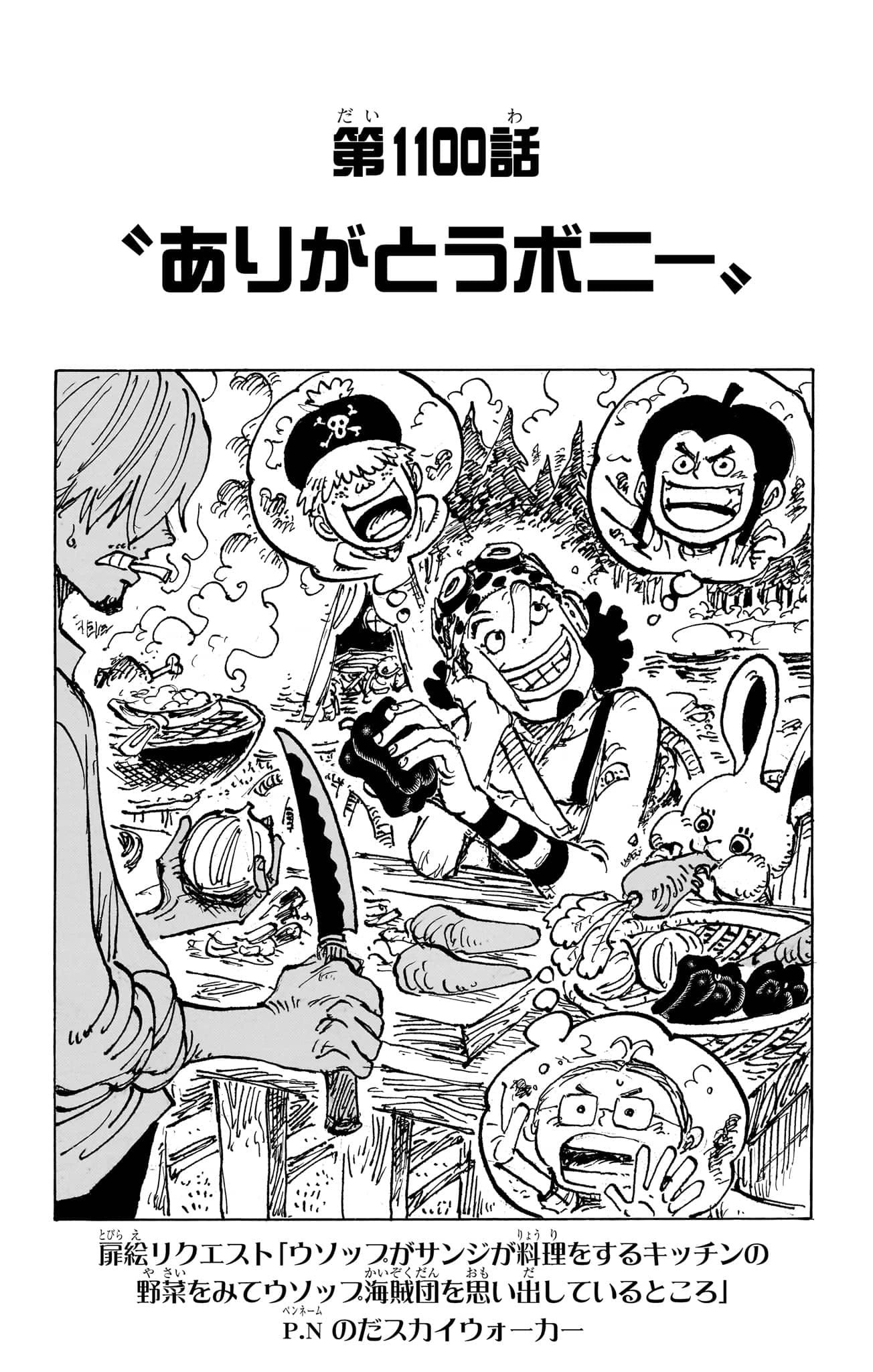One Piece Chapter 1100 Cover