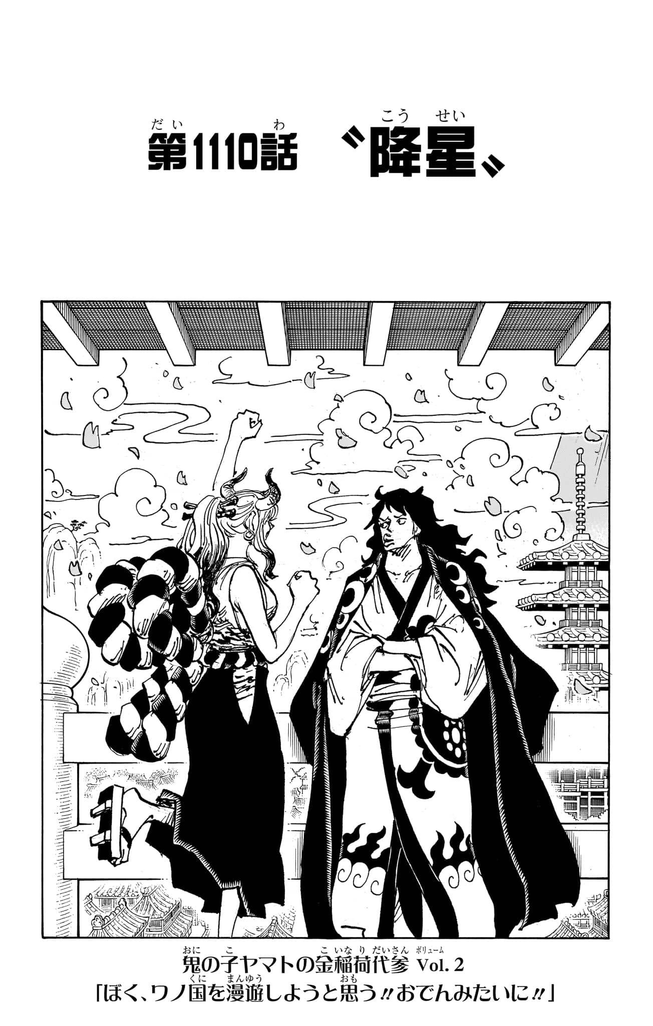 One Piece Chapter 1110 Cover