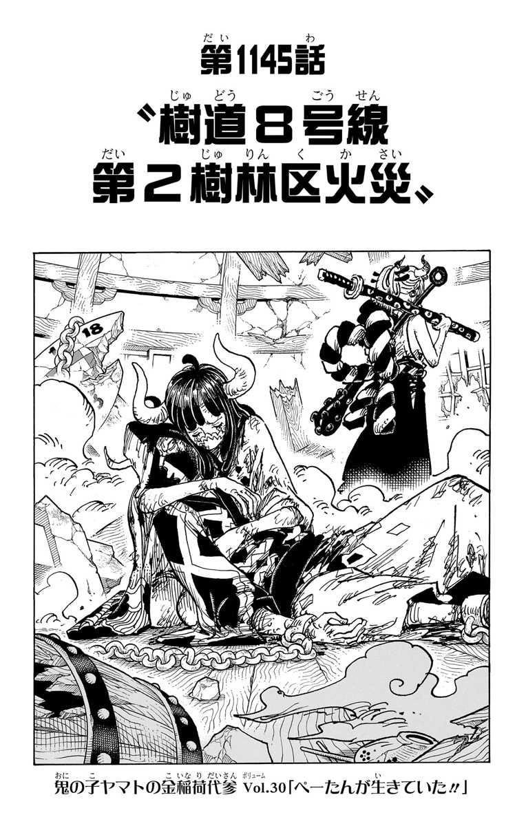 One Piece Chapter 1145 Cover