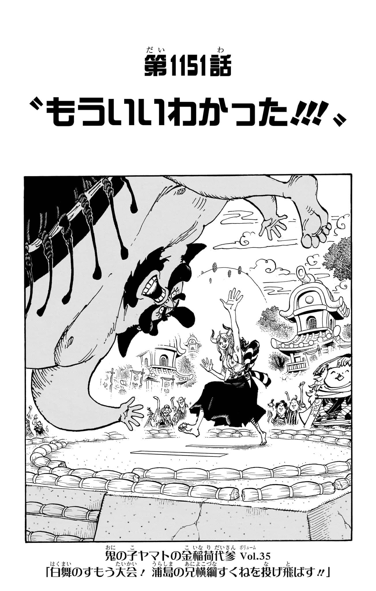 One Piece Chapter 1151 Cover