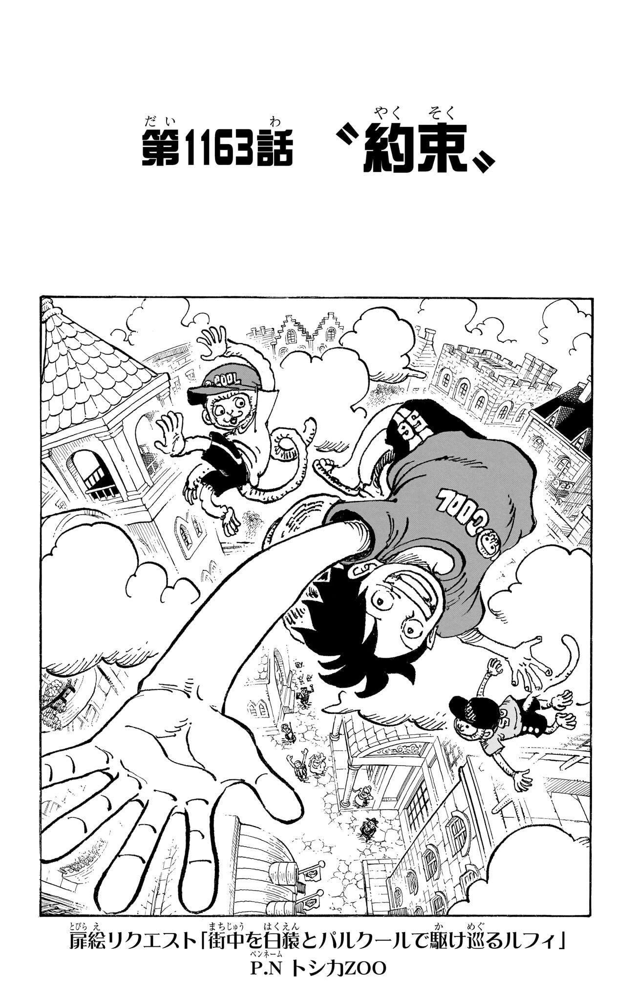 One Piece Chapter 1163 Cover