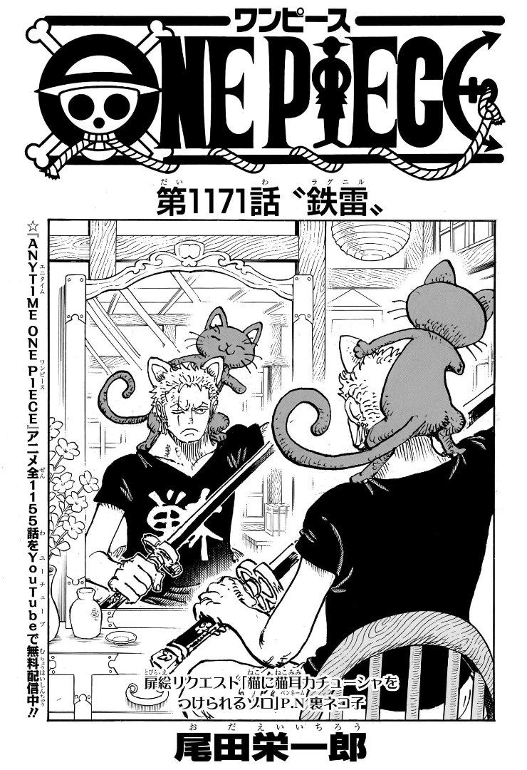One Piece Chapter 1171 Cover