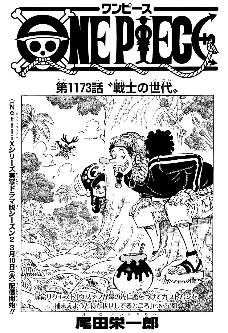 One Piece Chapter 1173 Cover