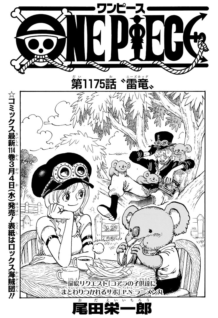 One Piece Chapter 1175 Cover