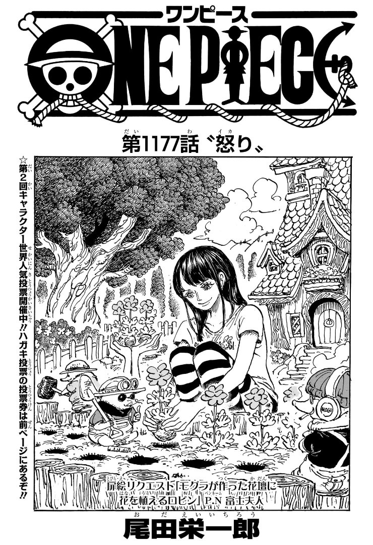 One Piece Chapter 1177 Cover
