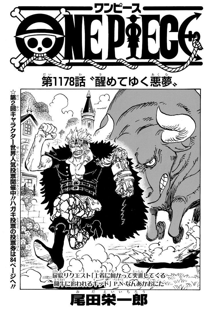 One Piece Chapter 1178 Cover
